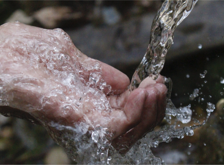 La calidad del agua, factor decisivo en el éxito o fracaso de una aplicación de fitosanitarios.